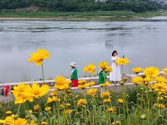 -石井坡(地铁站)