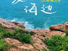 -广东惠东海龟国家级自然保护区