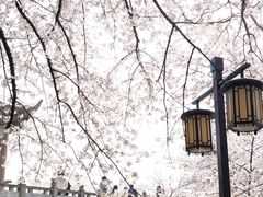 -苏州上方山国家森林公园
