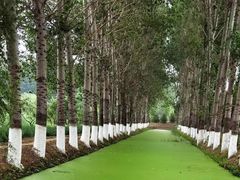 -东郊湿地公园