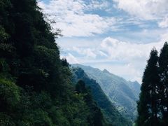 -娄山关景区