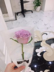 -Cocodemer产后恢复(杭大店)