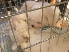 -远洋未来广场(育慧北路店)