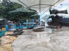 -海合安成都极地海洋公园