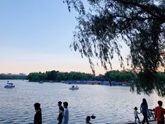 -长春市南湖公园