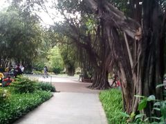 -晓港公园