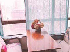 -共舞时光猫咖·狗咖(新街口店)
