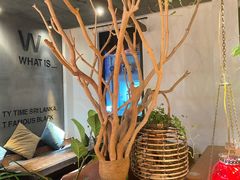 -陶享时光西餐·下午茶·竹林花园(新城店)
