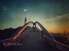 -金鸡山公园