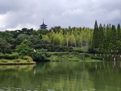 -宜兴龙背山森林公园