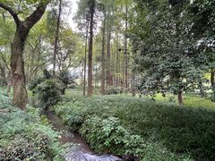 -杭州植物园