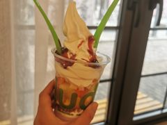 -Salud撒露欧洲冻酸奶(798艺术区店)