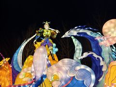 -武汉园博园(武汉自然博物馆)