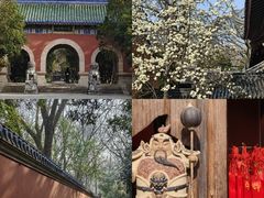 -灵谷景区