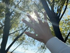 -野鸭湖国家湿地公园