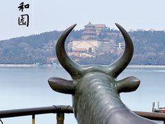 -颐和园