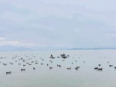 -深圳湾公园(南山区)