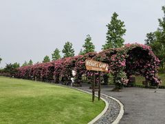 -广富林郊野公园