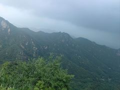 -大岭沟猕猴桃谷风景区