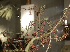 -兮禾酒馆(护国路店)