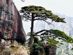 -黄山风景区
