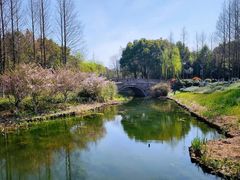 -绍兴镜湖国家城市湿地公园