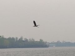 -丁香湖公园