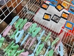 -蓝湾碧波·老字号·疍家非遗海上餐厅