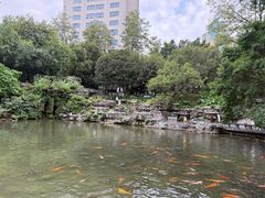 -柳侯公园