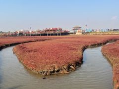 -红海滩国家风景廊道