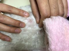 -北京恒爱动物医院(清景园分院)