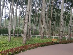-仁和公园(顺义区)