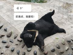 -攀枝花公园