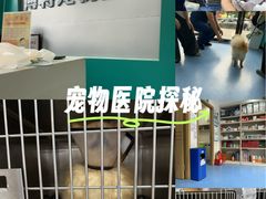 -博特宠物医院24h犬猫全科.骨科·异宠