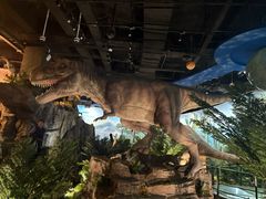 -陕西自然博物馆