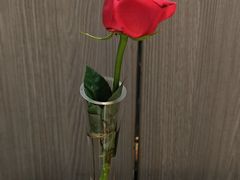 -海底捞火锅(大唐店)