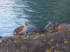 -颐和园-景明楼