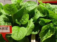 -郭家大院 老南京土菜(九霄店)