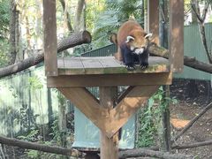 -可伦宾野生动物保护区