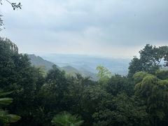 -莫干山风景区