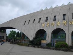 -自贡恐龙博物馆