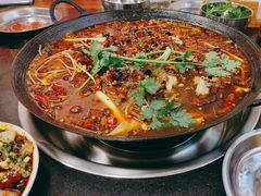 -鸿顺老铁锅美蛙鱼府(解放碑店)