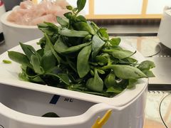 -喜家自助小火锅(乐客城店)