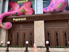 -帕帕拉兹宠物(亚洲旗舰店)