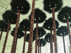 -广州白云国际机场