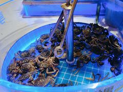 -享遇.锅姥姥牛排海鲜自助(小寨店)