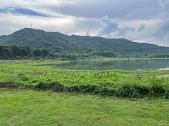 -风云岭森林公园