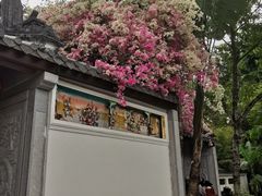 -深圳国际园林花卉博览园