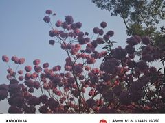-仙岳公园