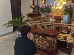 -老板恋上鱼(恒隆广场店)